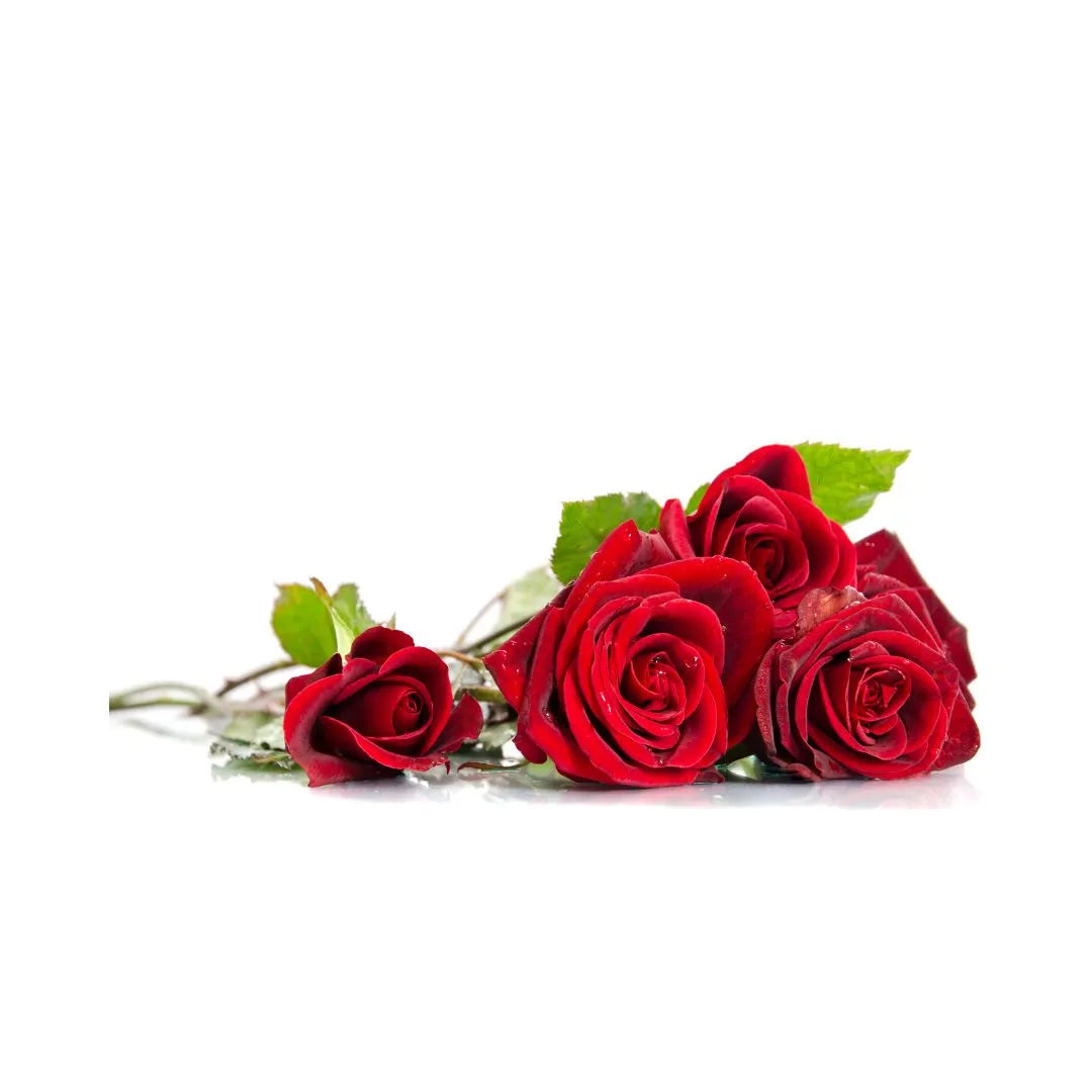 Red Roses Scented Soy Candle – Hand-Poured in Canada | Hibiscus | Lah Douceur