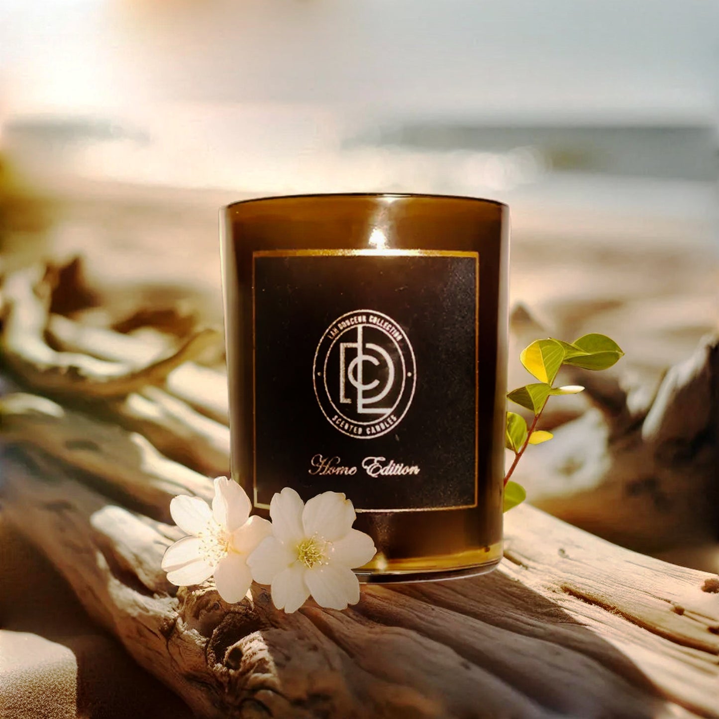 Vetiver Scented Soy Candle – Hand-Poured in Canada | Labadie Beachwood | Lah Douceur