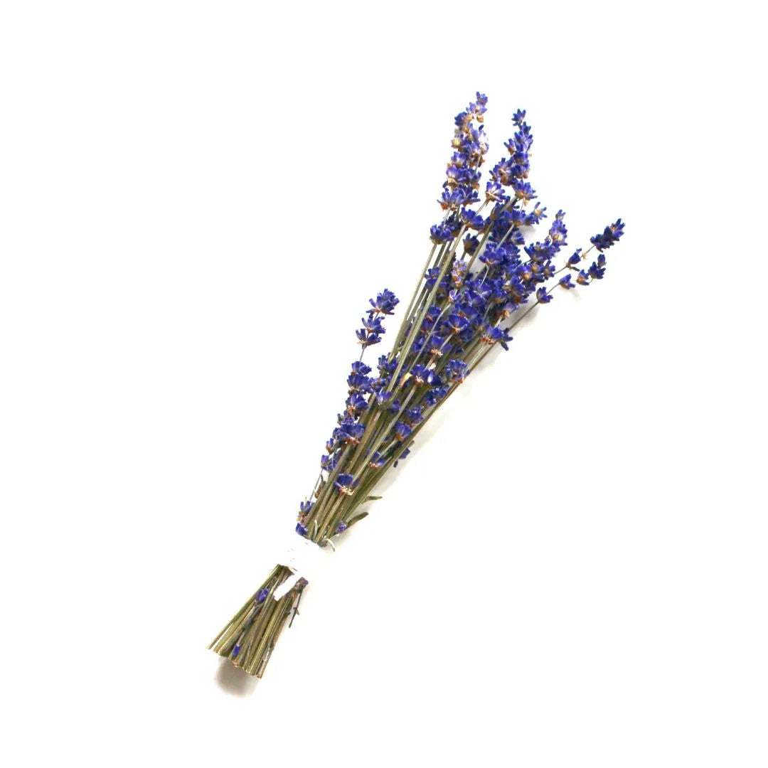 French Lavender Scented Soy Candle – Hand-Poured in Canada | Port Salut | Lah Douceur