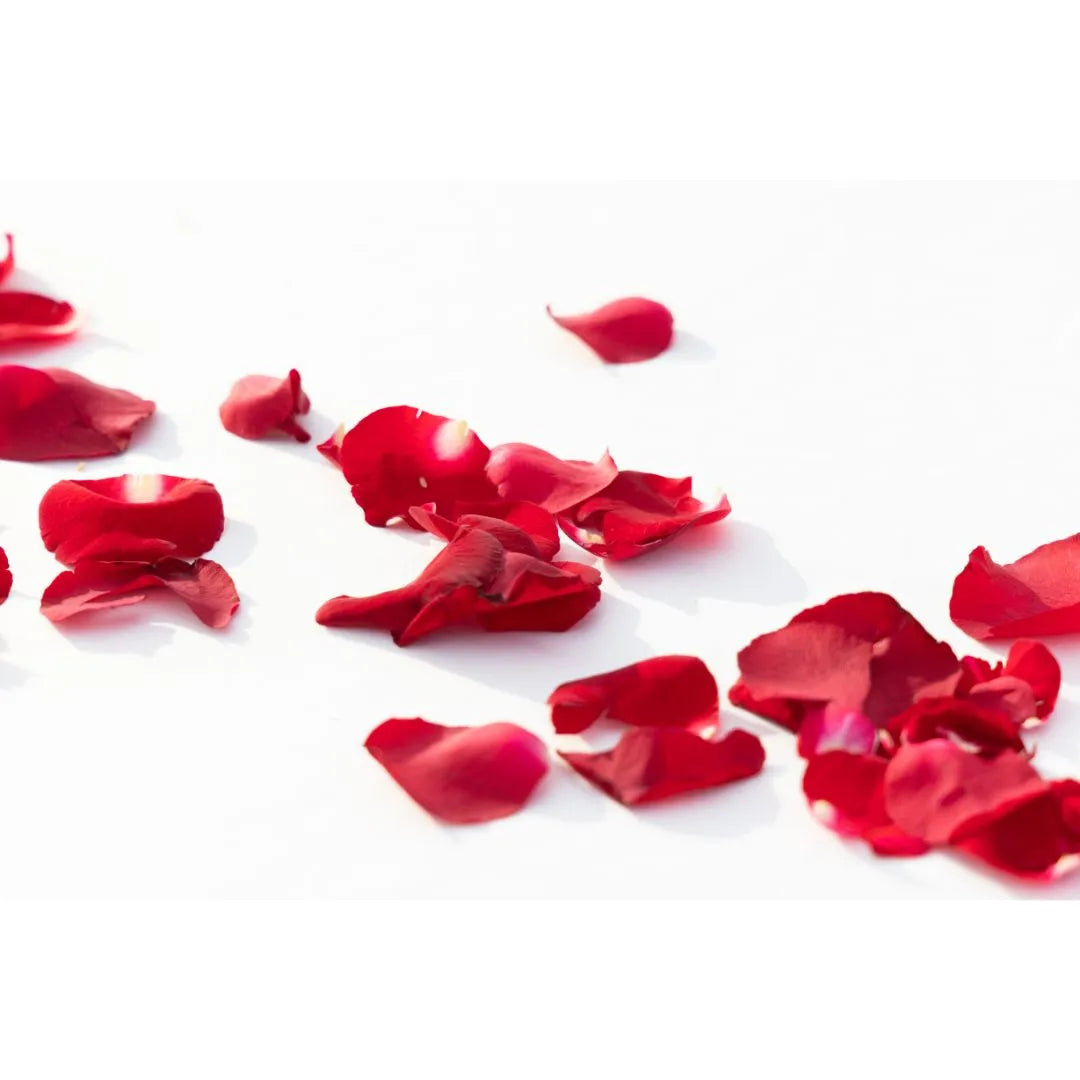 Fresh Cut Rose Scented Soy Candle – Hand-Poured in Canada | Saut d’Eau | Lah Douceur