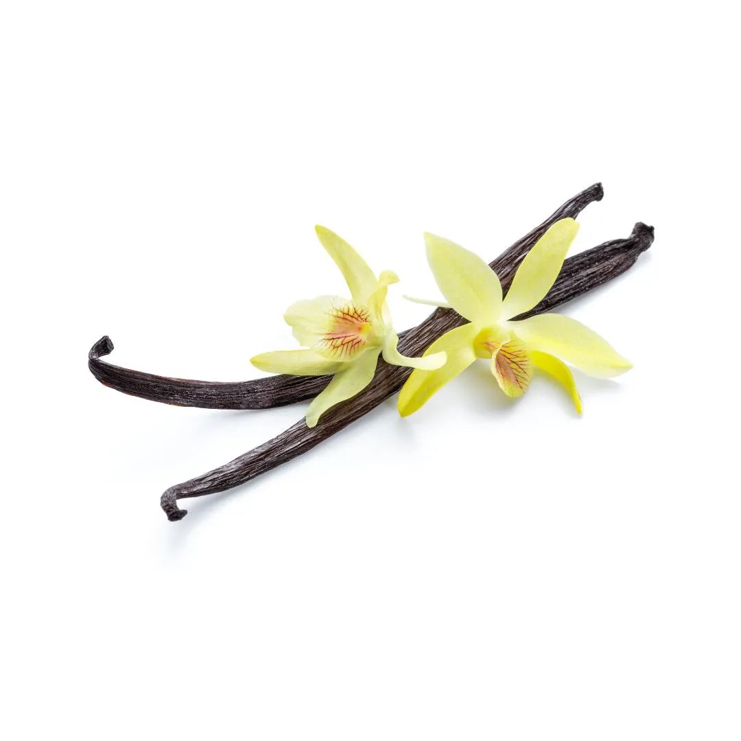 Vanilla Orchid Scented Soy Candle – Hand-Poured in Canada | Gelée | Lah Douceur